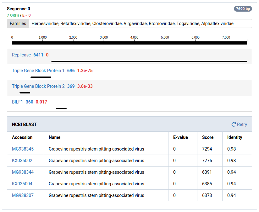 BLAST Results