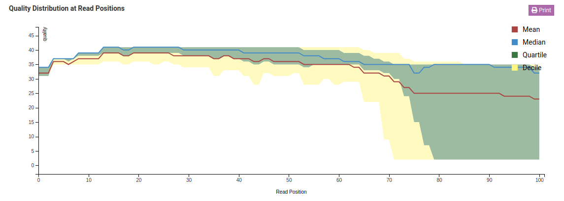 Quality Distribution at Read Positions